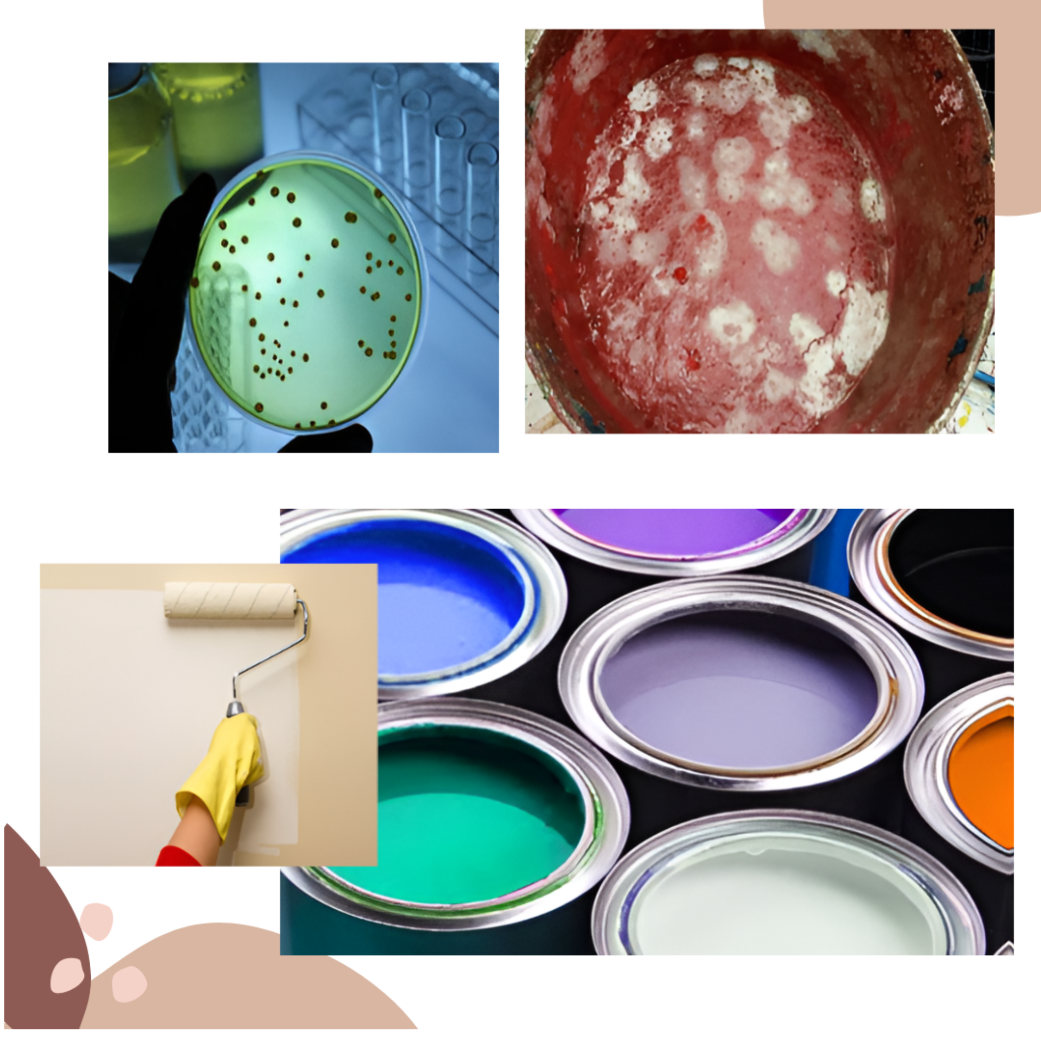 Product mage